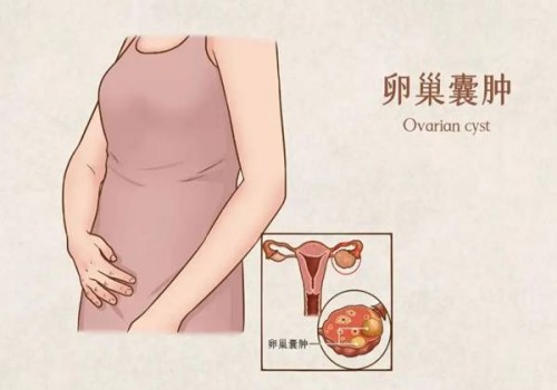 人类精子库的精子质量好不好，听听专业医生为你解答